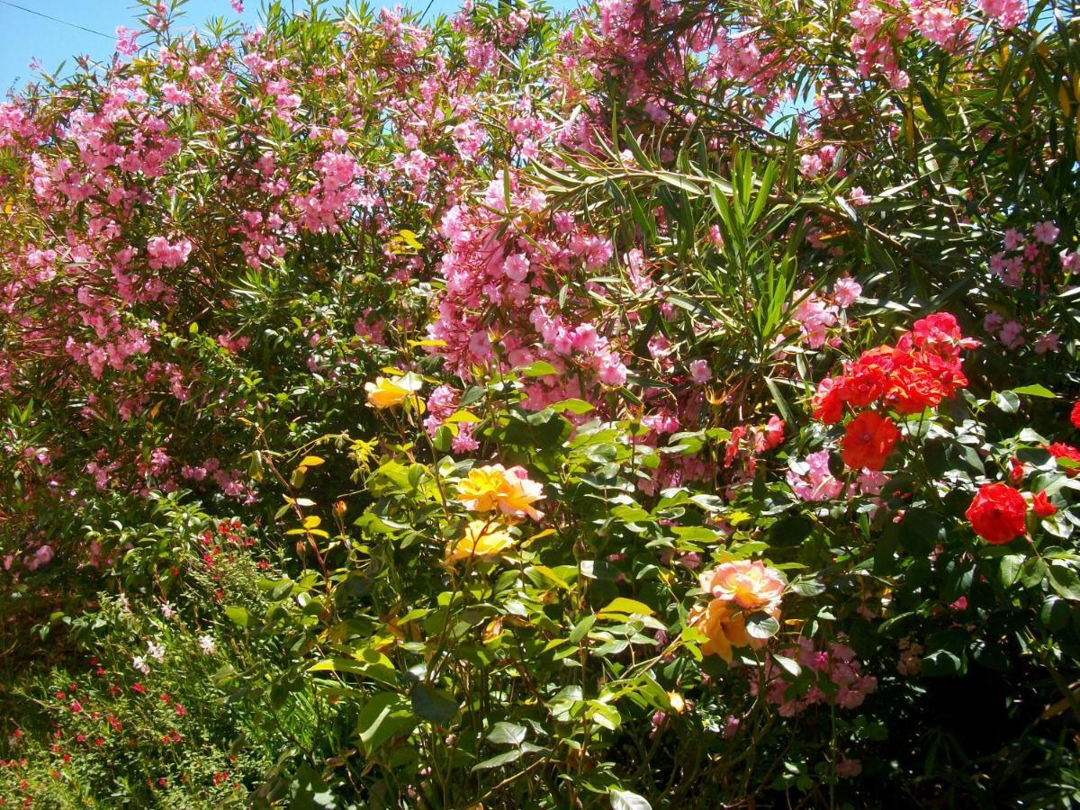 Domaine De Monein Bed & Breakfast แซงตรองเดร-เดอ-คุบแซก ภายนอก รูปภาพ