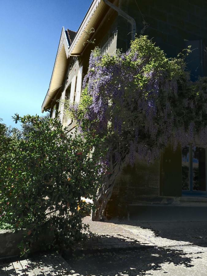 Domaine De Monein Bed & Breakfast แซงตรองเดร-เดอ-คุบแซก ภายนอก รูปภาพ
